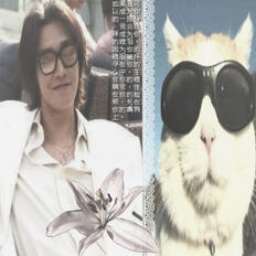 moonbaek / trigger
